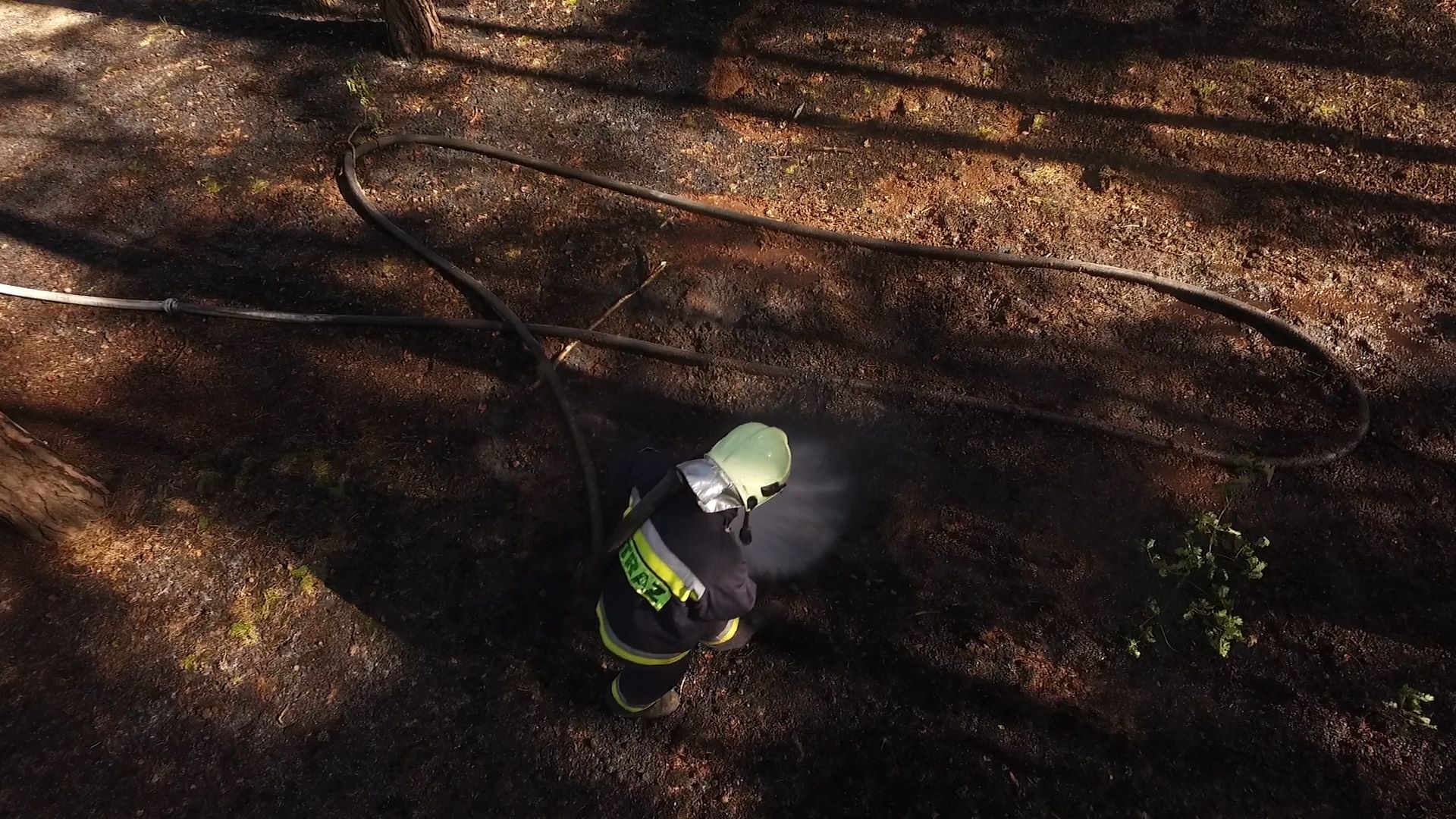 32104514_1027994250686849_7165778833134583808_n